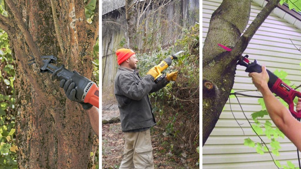 เลื่อยชัก