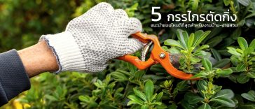 กรรไกร