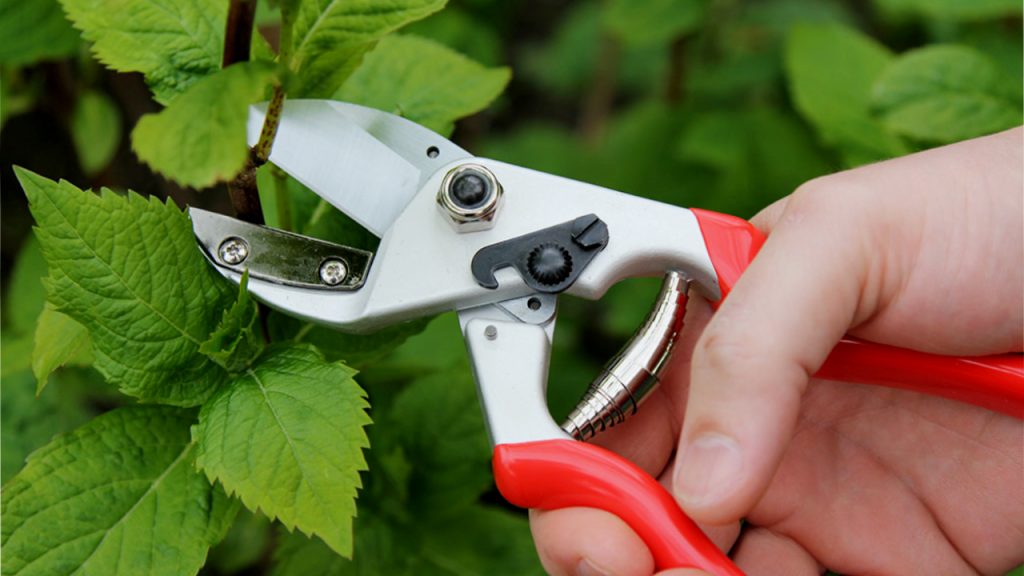 กรรไกร ตัดกิ่งไม้ใหญ่ Anvil Pruners