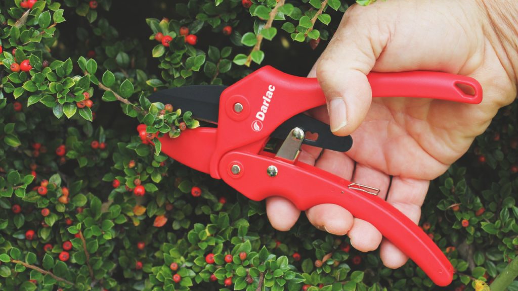กรรไกร ตัดกิ่งแบบวงล้อ Ratchet Pruners