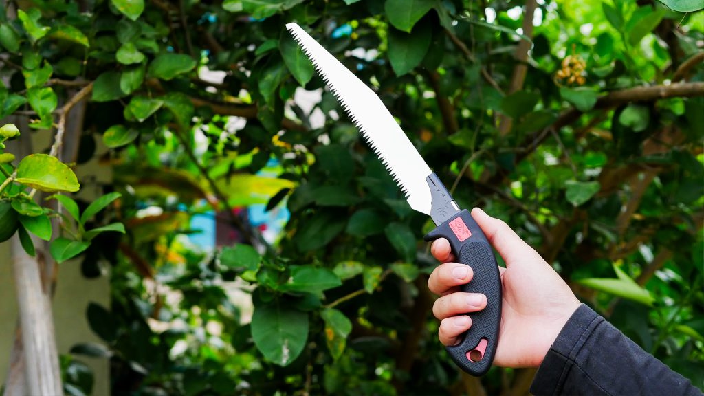 เลื่อยตัดกิ่งไม้