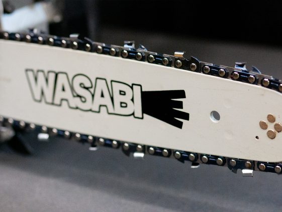 โซ่เลื่อยยนต์