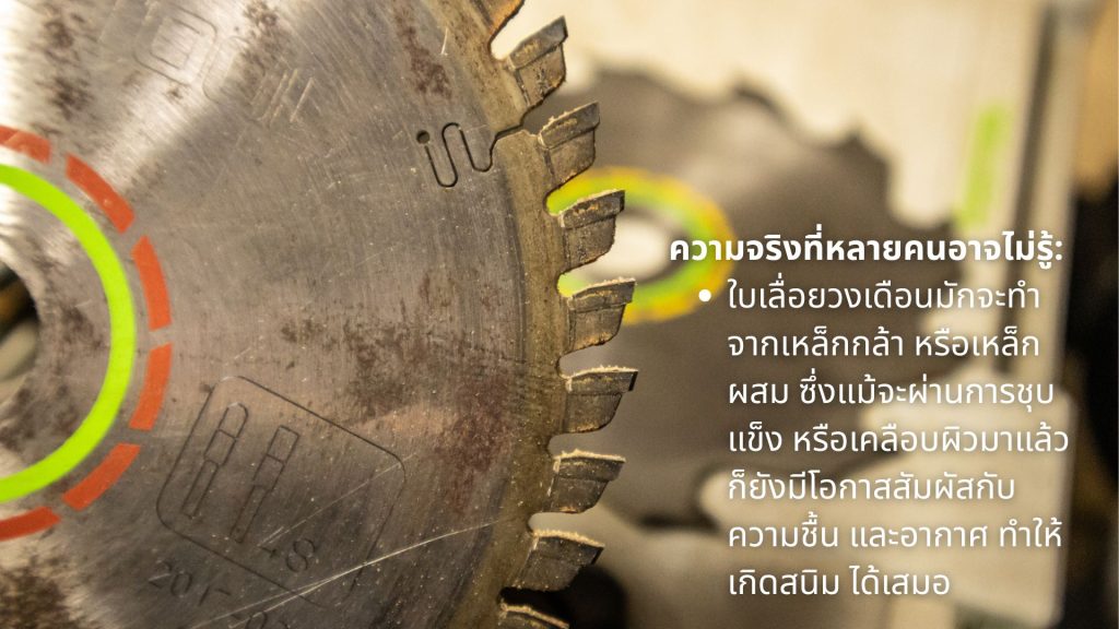 ใบเลื่อยวงเดือน