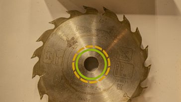 ใบเลื่อยวงเดือน