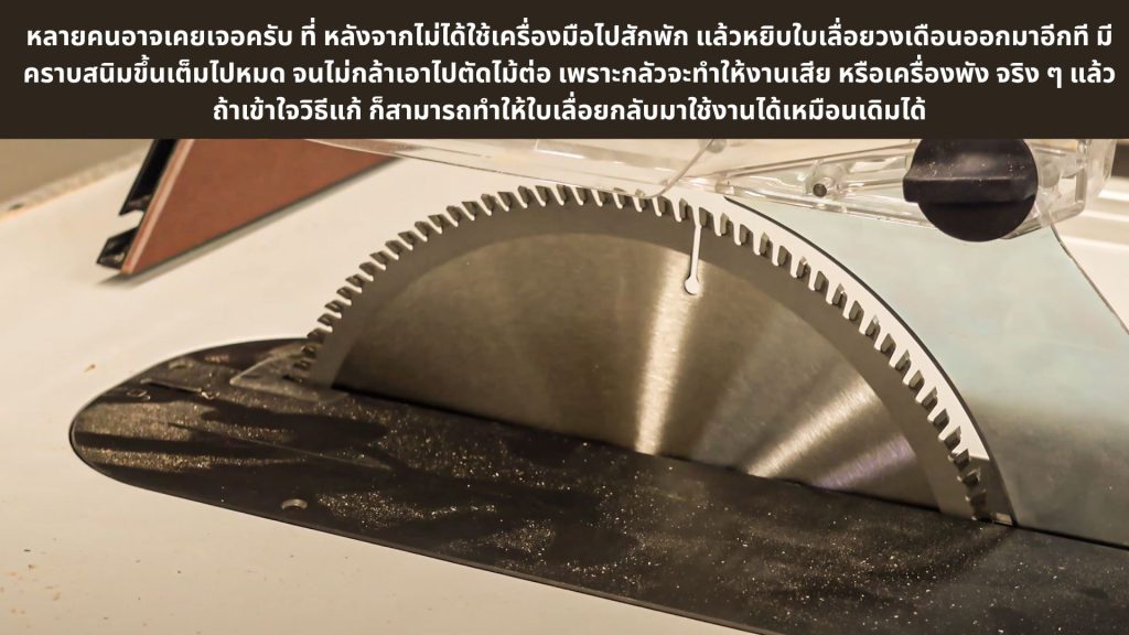 ใบเลื่อยวงเดือน