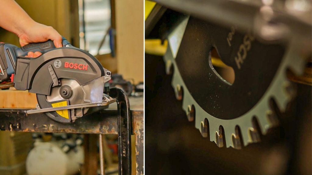 ใบเลื่อยวงเดือน