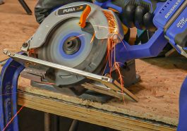 ใบเลื่อยวงเดือน