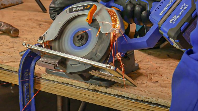 ใบเลื่อยวงเดือน